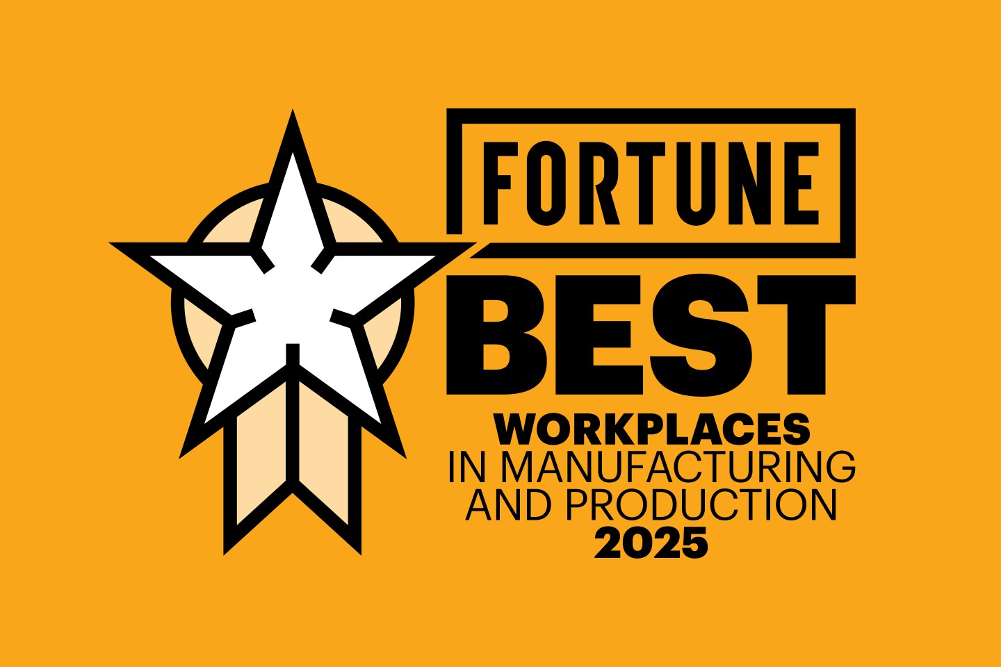 Best Large Workplaces in Manufacturing and Production